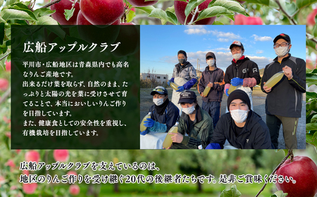 【レビューキャンペーン】年明け 贈答規格 広船のサンふじ・王林・金星約5kg詰合せ「特A」【広船アップルクラブ・平川市広船産・青森りんご・1月・2月】[hi-0004-003]