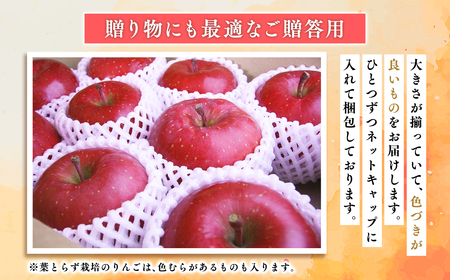 １１月～１月発送　贈答用王林5ｋｇ　【そと川りんご園・１１月・１２月・１月・青森県産・平川市・りんご・王林・5ｋｇ・贈答用】