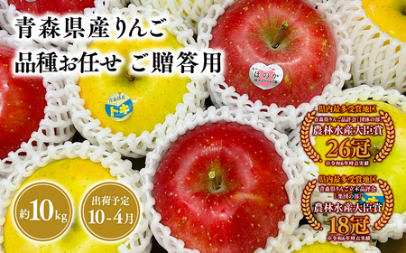 【レビューキャンペーン】2025年産 品種お任せ　贈答用　旬のりんご詰め合わせ10㎏りんご リンゴ 林檎 りんご 青森 平川市産 [hi-0053-076]