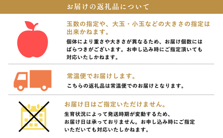 年内 蜜入り 糖度選別サンふじ約3㎏ 【JA津軽みらい・平川市産・青森りんご・12月】