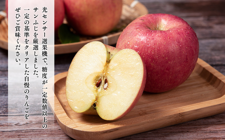 【レビューキャンペーン】年明け 糖度選別サンふじ約10kg 【青森県 平川市 JA津軽みらい 1月・2月】 年明け発送 青森 青森県産 平川 りんご リンゴ 林檎 くだもの 果物 ふじ フルーツ[hi-0001-018]