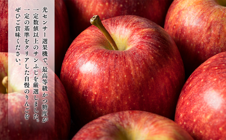 【レビューキャンペーン】年明け 最高級「特選」  糖度選別サンふじ約10kg 【青森県 平川市 JA津軽みらい 1月・2月】青森 青森県産 平川 りんご リンゴ 林檎 くだもの 果物 ふじ フルーツ [hi-0001-020]