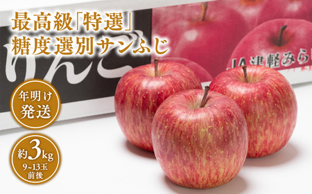 年明け 最高級「特選」糖度選別サンふじ 約3kg 【青森県 平川市