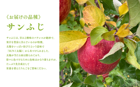 【レビューキャンペーン】1～3月 訳あり 葉とらず サンふじ 家庭用 約5kg 【岩渕農園・平川市産・青森りんご・1月・2月・3月[hi-0023-003]