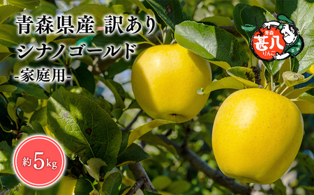 ６月発送　訳あり　家庭用　甚八りんごシナノゴールド5kg　【マルジンサンアップル　6月　青森県産　平川市　りんご　シナノゴールド　5kg　訳あり　家庭用】