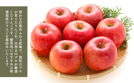 【レビューキャンペーン】６月発送　特選　甚八りんごシナノゴールド５kg　【マルジンサンアップル　6月　青森県産　平川市　りんご　シナノゴールド　5kg　特選　贈答用】[hi-0058-062]