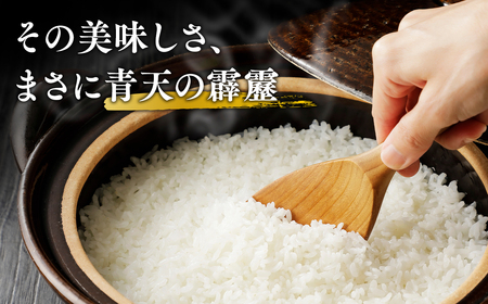 【定期便】3か月連続でお届け 令和6年産 青天の霹靂5kg(精米)