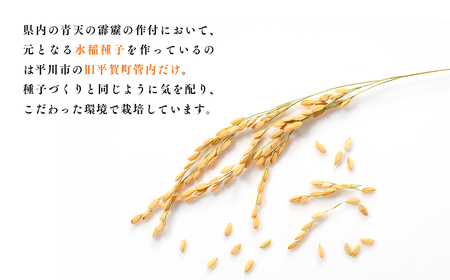 【定期便】3か月連続でお届け 令和6年産 青天の霹靂5kg(精米)