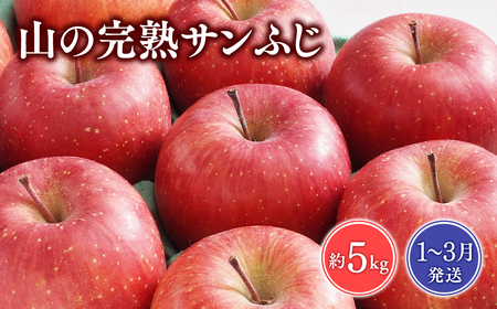 レビューキャンペーン】【2026年1~3月発送】 吹田りんご園 山の完熟