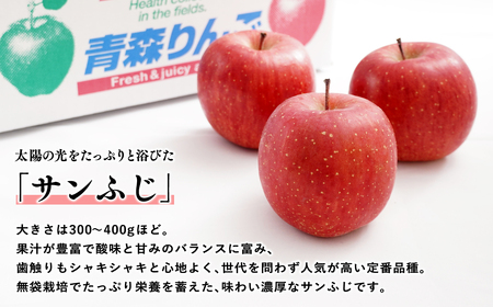 レビューキャンペーン】【2026年1~3月発送】 吹田りんご園 山の完熟
