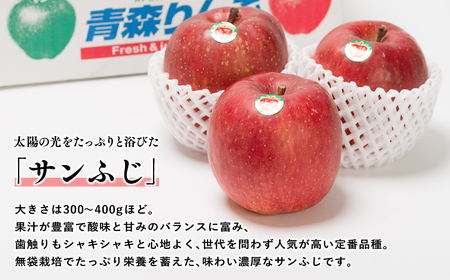 12月 吹田りんご園 山の完熟サンふじ約3kg 　【吹田りんご園・青森りんご・平川市広船産・12月】