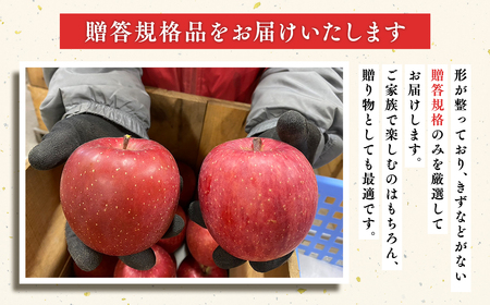 【レビューキャンペーン】12月発送 100年の歴史 贈答規格サンふじ 約3kg【田中農園・青森県平川市産・青森りんご】[hi-0039-004]