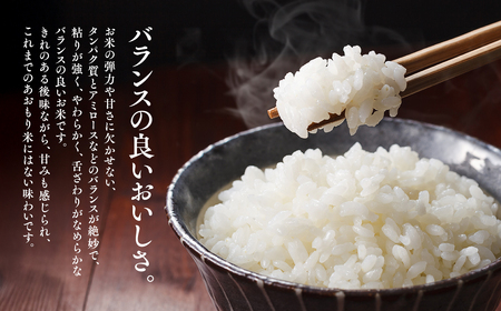 【レビューキャンペーン】定期便　3カ月連続配送！令和6年産 はれわたり5kg×3カ月[hi-0002-005]