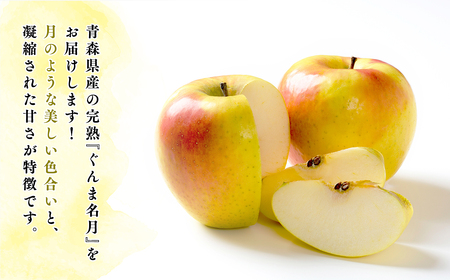 【レビューキャンペーン】【令和7年産受付】家庭用 樹上完熟ぐんま名月約3㎏【青森県平川市産・青森りんご】りんご リンゴ 林檎 りんご 青森 平川市産 [hi-0038-020]