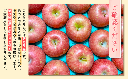 【レビューキャンペーン】【令和7年産受付】家庭用 樹上完熟ぐんま名月約3㎏【青森県平川市産・青森りんご】りんご リンゴ 林檎 りんご 青森 平川市産 [hi-0038-020]