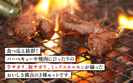 【レビューキャンペーン】『レジェンド精肉店』としてTVに取りあげられた大人気精肉店！平川サガリ焼肉セット　約3㎏[hi-0029-002］