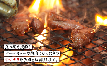 【レビューキャンペーン】『レジェンド精肉店』としてTVに取りあげられた大人気精肉店！平川サガリ(牛)　約700ｇ［hi-0029-004］