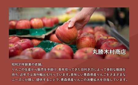 【レビューキャンペーン】【3月発送】家庭用サンふじ3㎏【丸勝木村商店・青森りんご】[hi-0055-001-3]