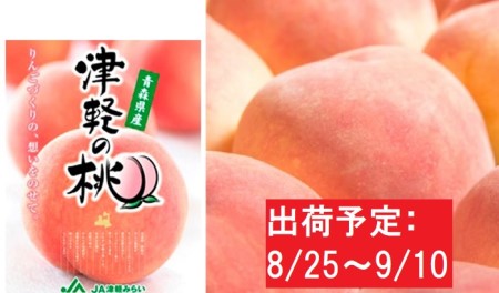 『津軽の桃・川中島白桃』 約5kg秀品