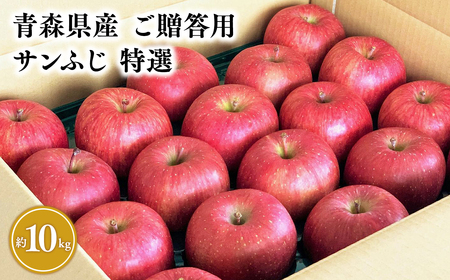【レビューキャンペーン】3月発送 【特選】サンふじ10㎏【りんご・青森・平川・特選・宮川商店・3月】[hi-0054-004-3]