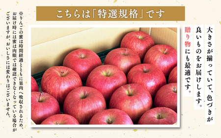 【レビューキャンペーン】3月発送 【特選】サンふじ10㎏【りんご・青森・平川・特選・宮川商店・3月】[hi-0054-004-3]