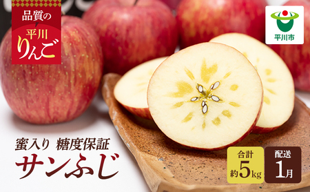 年明け 蜜入り 糖度保証サンふじ 約5kg 【JA津軽みらい・平川市産・青森りんご・1月】