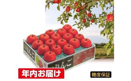 年内 糖度保証サンふじ 約5kg 【JA津軽みらい・平川市産・青森りんご・12月】