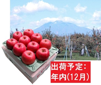 12月 サンふじりんご「特A」約3kg 糖度13度以上 【森山商店・平川市産・青森りんご・12月】