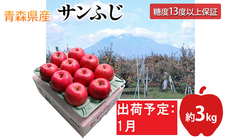 1月 サンふじりんご「特A」約3kg 糖度13度以上 【森山商店・平川市産・青森りんご・1月】