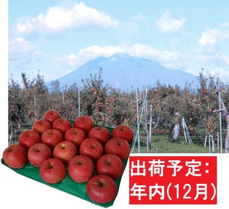 12月 サンふじりんご「特A」約5kg 糖度13度以上 【森山商店・平川市産・青森りんご・12月】