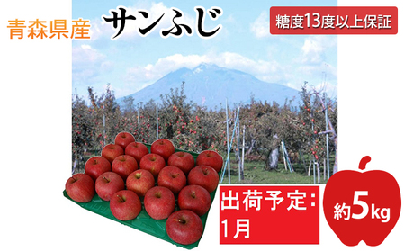 1月 サンふじりんご「特A」約5kg 糖度13度以上 【森山商店・平川市産・青森りんご・1月】