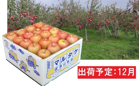 12月 訳あり 家庭用葉取らずサンふじりんご 約10kg 【森山商店・平川市産・青森りんご・12月】