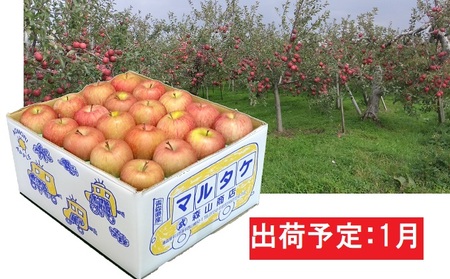 1月 訳あり 家庭用葉取らずサンふじりんご 約10kg 【森山商店・平川市産・青森りんご・1月】