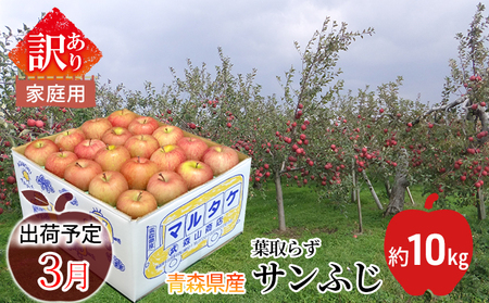 3月 家庭用サンふじりんご約10kg 平川市産(28~46玉)【訳あり】
