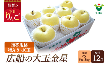 年内 贈答規格 広船の大玉金星 約3kg「特A」 【広船アップルクラブ・平川市広船産・青森りんご・12月】