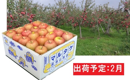 2月 訳あり 家庭用葉取らずサンふじりんご 約10kg 【森山商店・平川市産・青森りんご・2月】