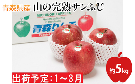 年明け 山の完熟サンふじ 約5kg 吹田りんご園 青森りんご 平川市広船産 1月 2月 3月 青森県平川市 ふるさと納税サイト ふるなび