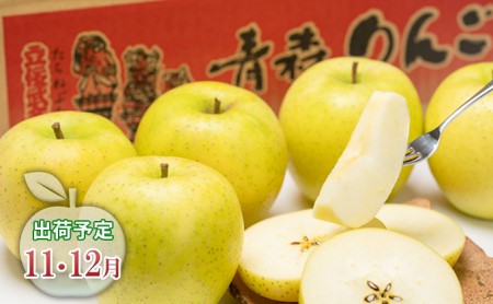 年内 親子三代最高位の王林 約3kg 【全国りんごコンクール最高賞受賞・青森りんご・平川市広船産・11月・12月】