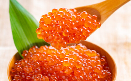 11-68 鮭いくら醤油漬500g(250g×2)