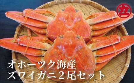 12-10 オホーツク産ズワイガニ×2尾セット(450g前後)