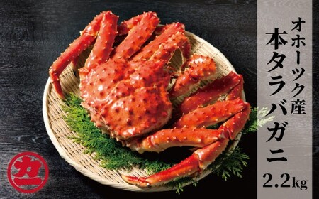 48-2 オホーツク産タラバガニ姿【2.2kg~】