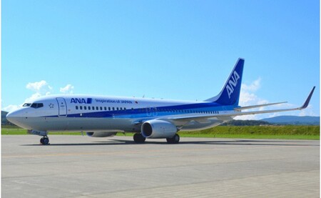170-4 東京(羽田)⇔オホーツク紋別往復航空券(ホテル1泊朝食付)