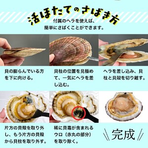 11-145 【年内配送12月15日入金まで】北海道紋別産 活ホタテ2kg(Lサイズ) within2025