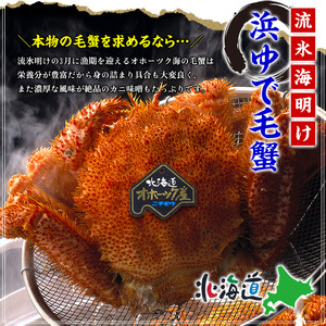 20-269 【年内配送12月15日入金まで】【甲羅組】北海道産　ボイル毛蟹 within2025
