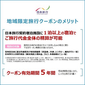 1000-3 北海道紋別市　日本旅行　地域限定旅行クーポン300,000円分