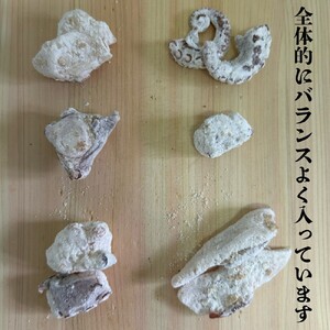 10-516 【年内配送12月15日入金まで】タコ唐揚げ1kg(200g×5袋) within2025