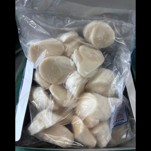 14-168 【年内発送12月15日入金まで】最高級!北海道オホーツク海産 冷凍ほたて貝柱(500g) within2025