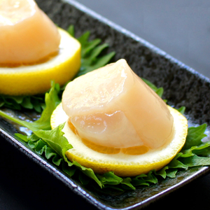 14-168 【年内発送12月15日入金まで】最高級!北海道オホーツク海産 冷凍ほたて貝柱(500g) within2025