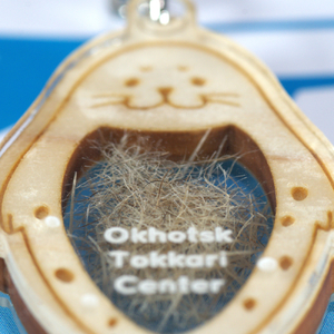 4-4 【年内発送12月15日入金まで】毛(もう)かわいすぎ!キーホルダー within2025