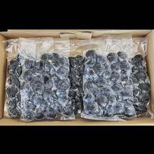 12-211 紋別産しじみ1kg